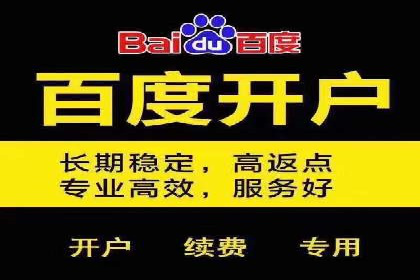 百度竞价包年策略：成功案例解析与经验分享